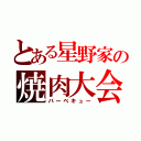 とある星野家の焼肉大会（バーベキュー）