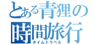 とある青狸の時間旅行（タイムトラベル）