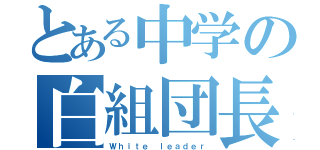 とある中学の白組団長（Ｗｈｉｔｅ ｌｅａｄｅｒ）