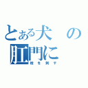 とある犬の肛門に（枝を刺す）