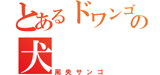 とあるドワンゴの犬（周央サンゴ）