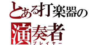 とある打楽器の演奏者（プレイヤー）