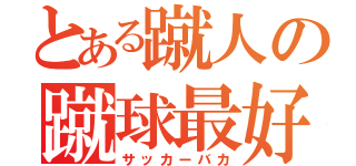 とある蹴人の蹴球最好（サッカーバカ）