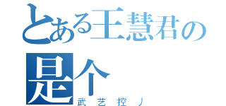 とある王慧君の是个（武艺控丿）