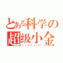 とある科学の超级小金（ＸＩＡＯＪＩＮ）