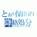 とある保臣の降格処分（レベルダウン）