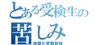 とある受検生の苦しみ（地獄の受験勉強）