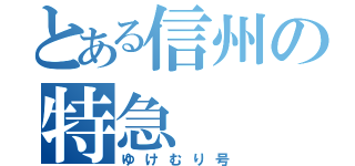 とある信州の特急（ゆけむり号）