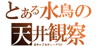 とある水鳥の天井観察（ボキャブルティーアウト）
