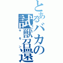 とあるバカの試獣召還（サモン）