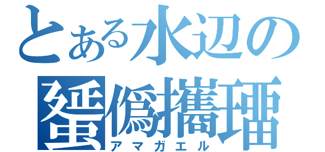 とある水辺の蜑僞攜璢（アマガエル）