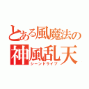 とある風魔法の神風乱天斬（シーンドライブ）