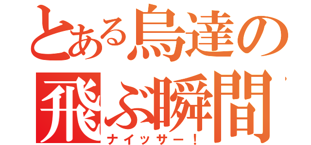 とある烏達の飛ぶ瞬間（ナイッサー！）