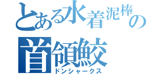 とある水着泥棒の首領鮫（ドンシャークス）