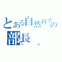 とある自然科学の部長（パオ）