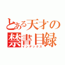 とある天才の禁書目録（インデックス）