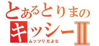 とあるとりまのキッシーⅡ（ムッツリだよな）