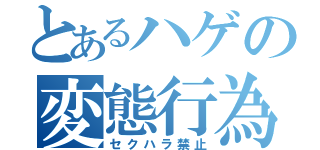 とあるハゲの変態行為（セクハラ禁止）