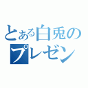 とある白兎のプレゼン（）