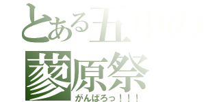 とある五中の蓼原祭（がんばろっ！！！）