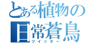 とある植物の日常蒼鳥（ツイッター）