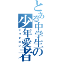 とある中学生の少年愛者（ショタコン）