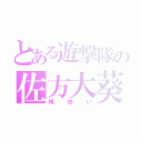 とある遊撃隊の佐方大葵（縄使い）