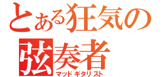 とある狂気の弦奏者（マッドギタリスト）