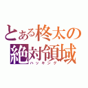 とある柊太の絶対領域（ハッキング）