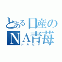 とある日産のＮＡ青苺（シルビア）