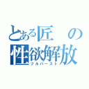 とある匠の性欲解放（フルバースト）