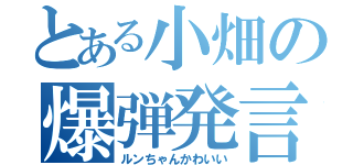 とある小畑の爆弾発言（ルンちゃんかわいい）