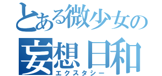 とある微少女の妄想日和（エクスタシー）