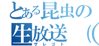 とある昆虫の生放送（仮）（ザレゴト）