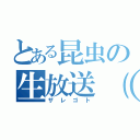 とある昆虫の生放送（仮）（ザレゴト）