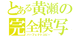 とある黄瀬の完全模写（パーフェクトコピー）