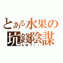 とある水果の坑錢陰謀（太陰了！！）