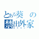 とある葵の禁出外家（ロリコン）