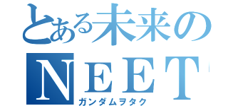 とある未来のＮＥＥＴ集団（ガンダムヲタク）