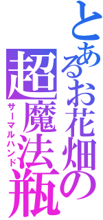 とあるお花畑の超魔法瓶（サーマルハンド）