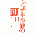 とある平浪静の明日（自风平）