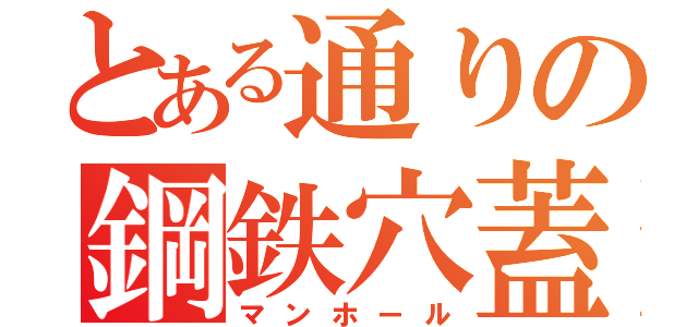 とある通りの鋼鉄穴蓋（マンホール）