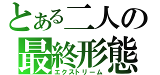 とある二人の最終形態（エクストリーム）