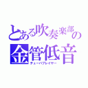 とある吹奏楽部の金管低音（チューバプレイヤー）