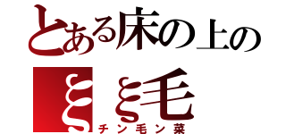 とある床の上のξξ毛（チン毛ン菜）