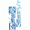 とある秋葉原の変態集団（オタク）