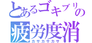 とあるゴキブリの疲労度消化（カサカサカサ）