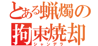 とある蝋燭の拘束焼却（シャンデラ）