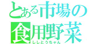 とある市場の食用野菜（ししとうちゃん）