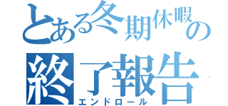 とある冬期休暇の終了報告（エンドロール）